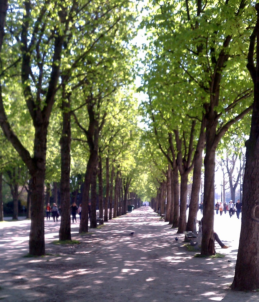 IMAG0194
