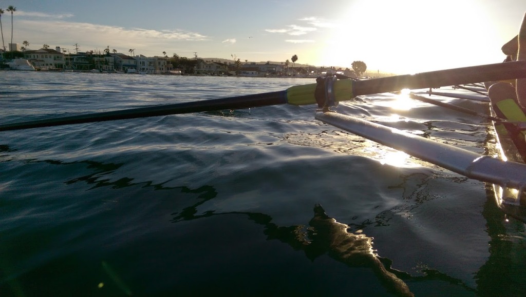 rowing5