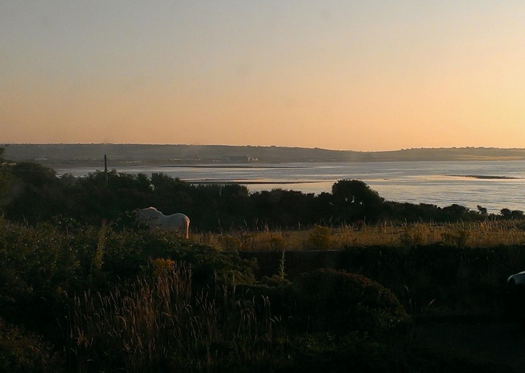 IMAG0677_1