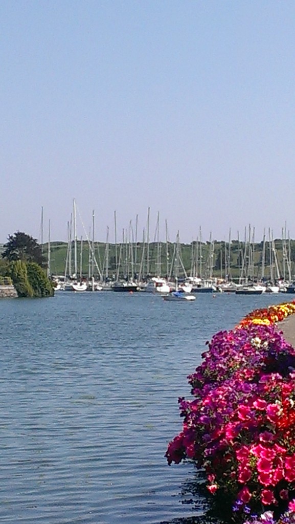 IMAG0702