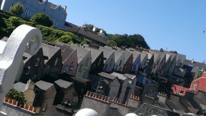 IMAG0709
