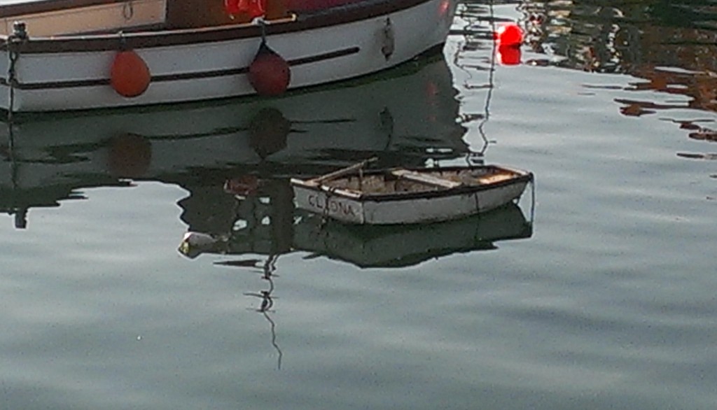 IMAG0716