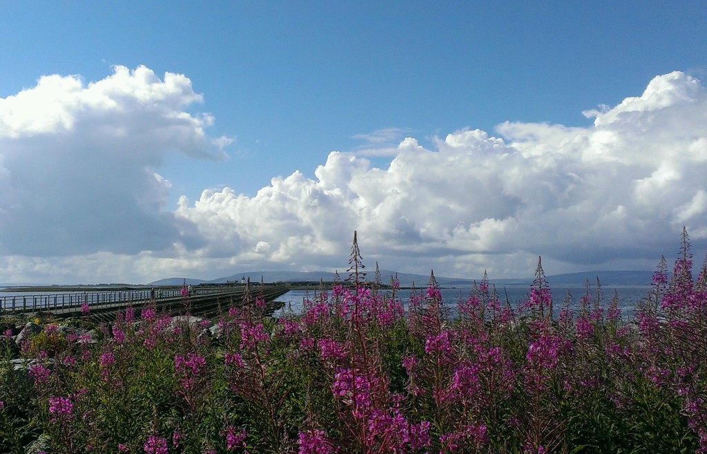 IMAG0849_1