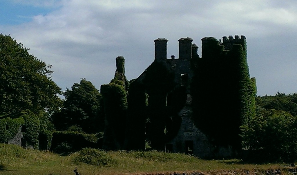 IMAG0870_1
