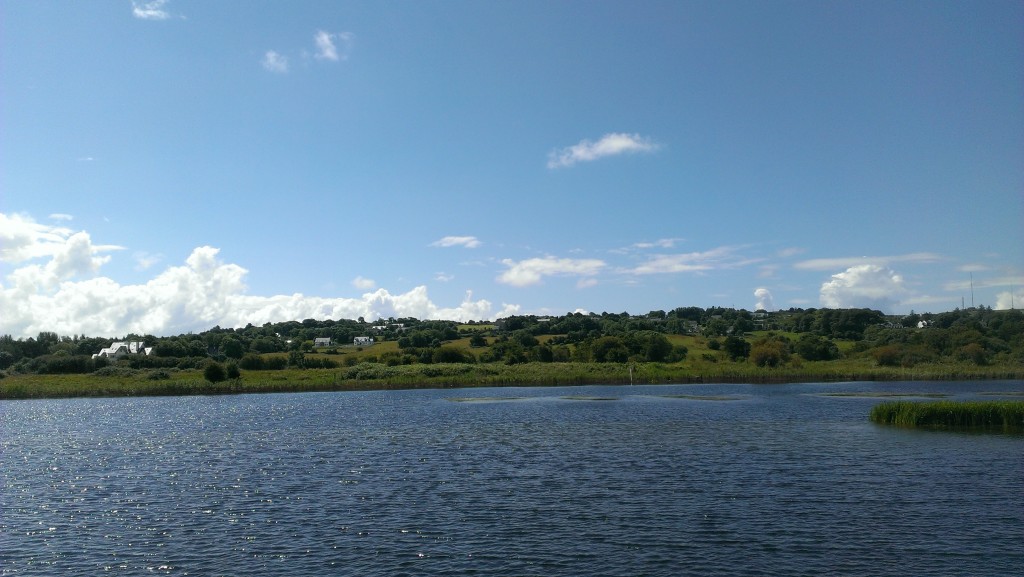 IMAG0874