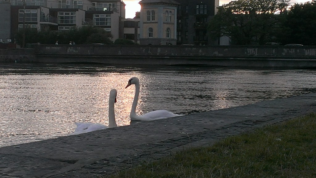IMAG0905