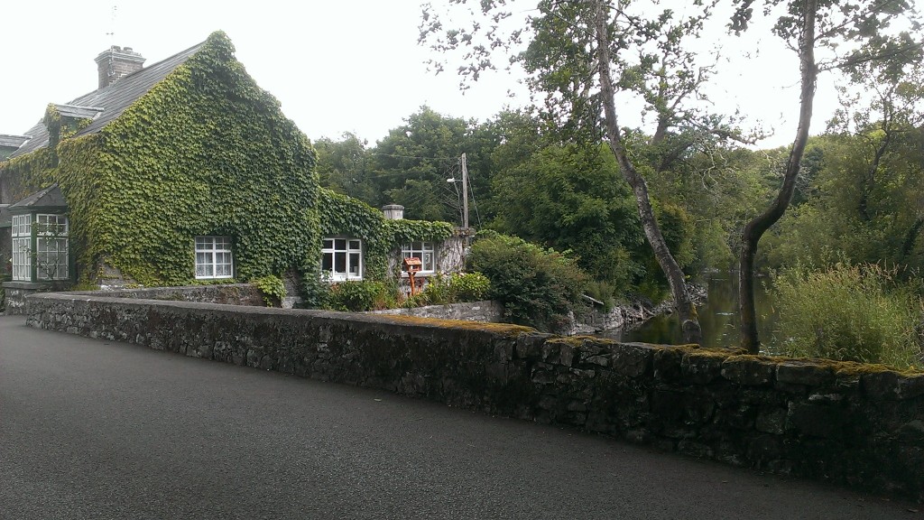 IMAG0941