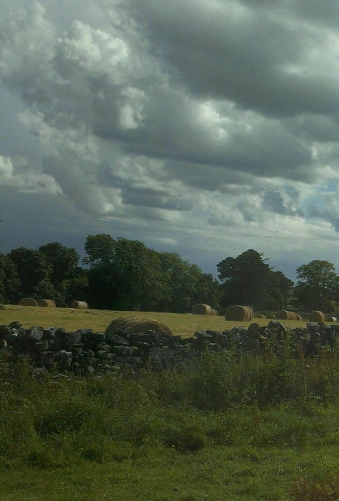 IMAG0945_1_1