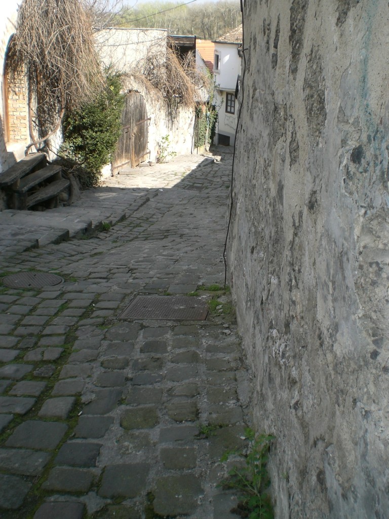 CIMG7225