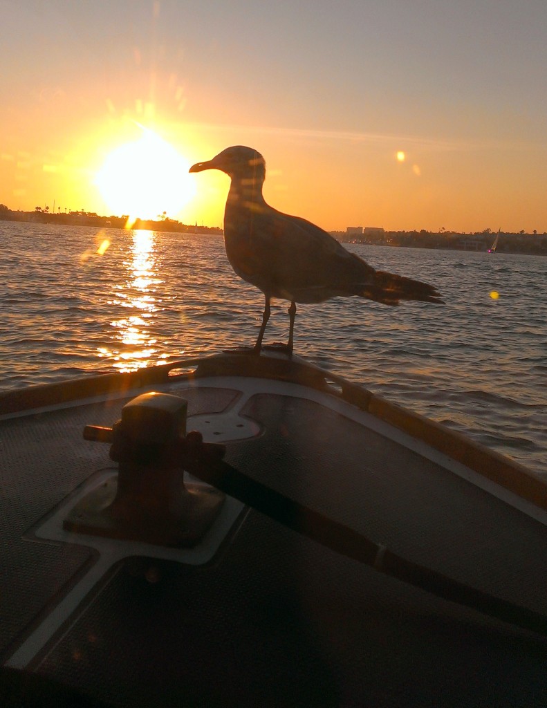 IMAG0960
