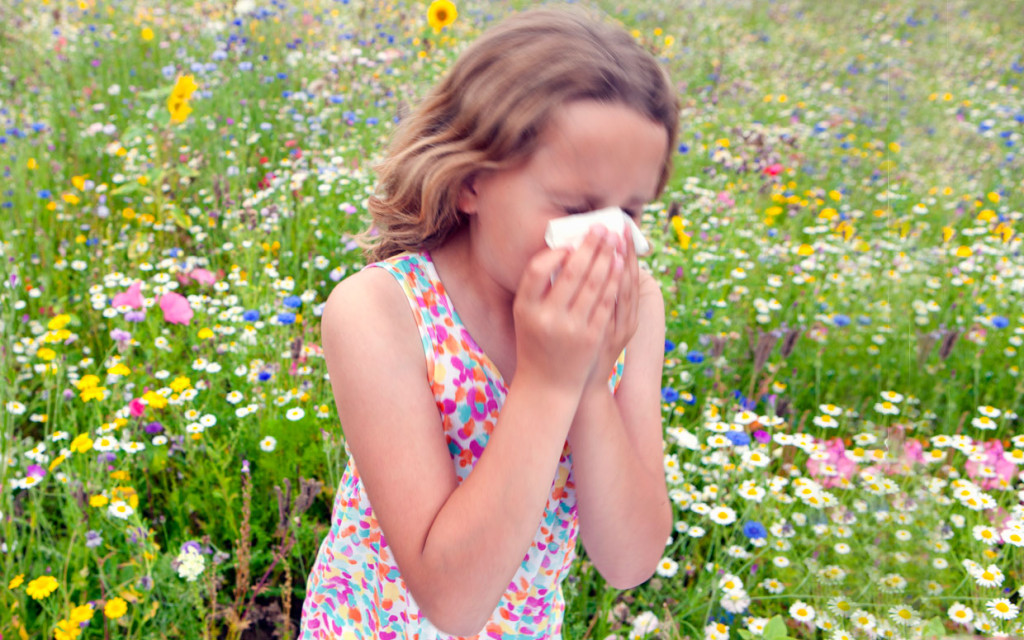 allergy2