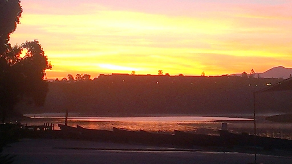 IMAG0645
