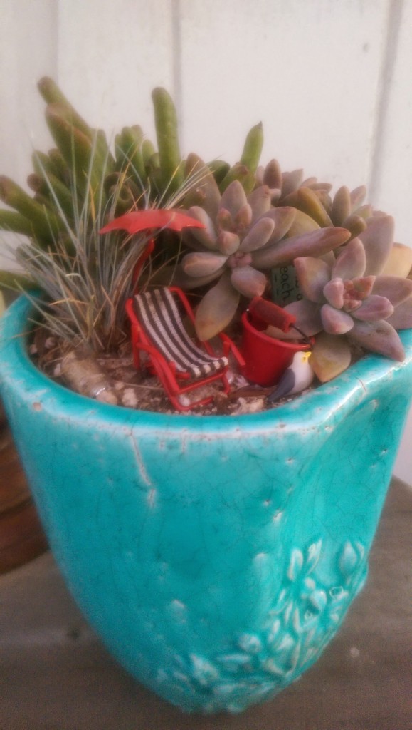 IMAG2736