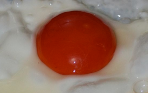 red yolk