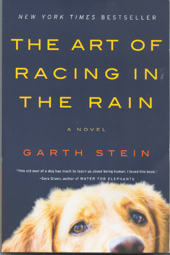 art of racing in the rain