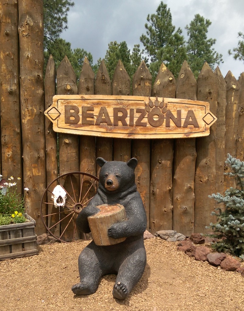 IMAG5091