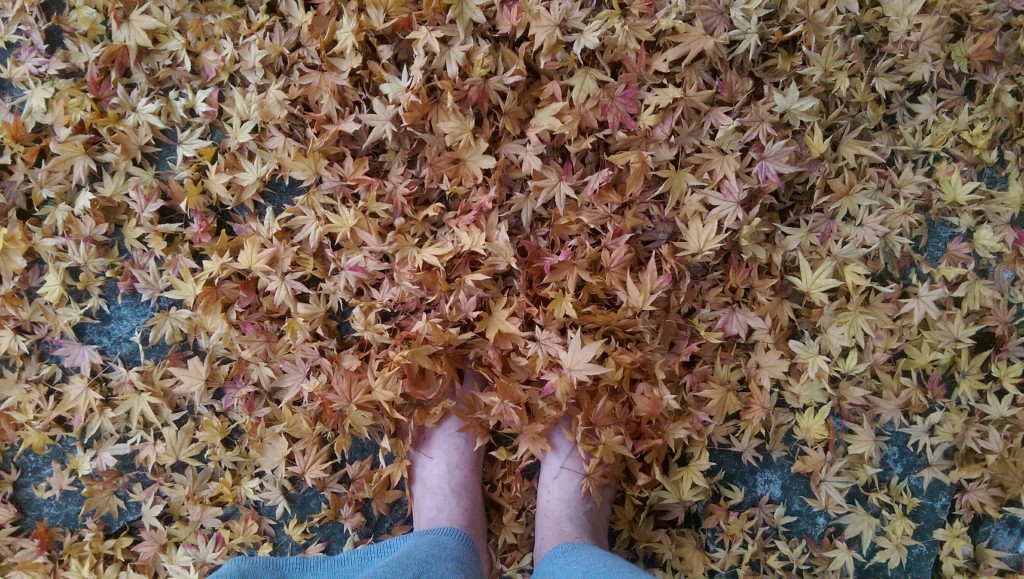 IMAG5595_1