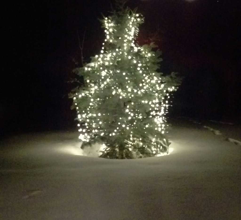 IMAG0412_1