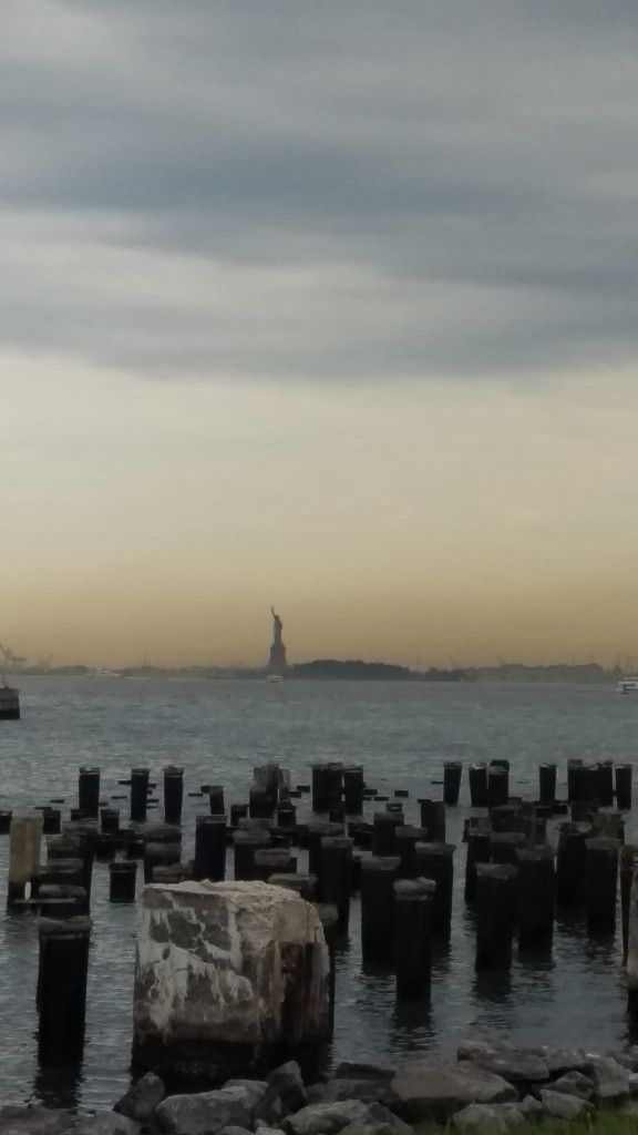 IMAG1253